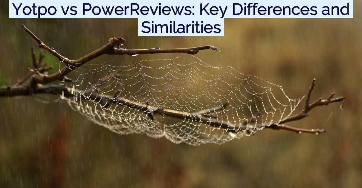 Yotpo vs PowerReviews: Key Differences and Similarities- Featured Image