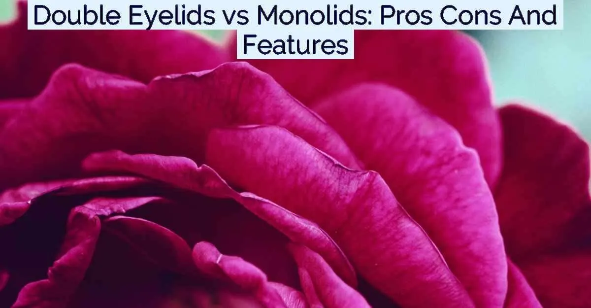 Double Eyelids vs Monolids: Pros Cons And Features - Rosetta Digital