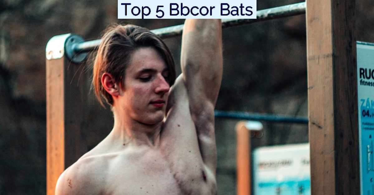 Top 5 Bbcor Bats- Featured Image