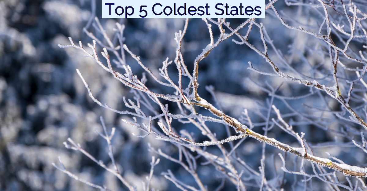 Top 5 Coldest States- Featured Image