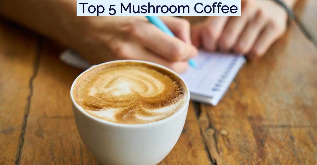 Top 5 Mushroom Coffee- Featured Image